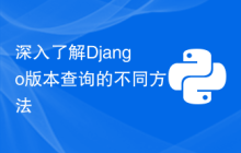 深入了解Django版本查询的不同方法