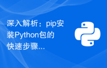 深入解析：pip安装Python包的快速步骤