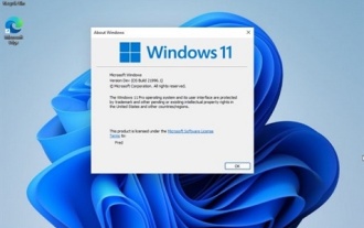 How to solve win11 reset problem