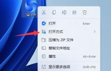 如何使用win11打开pdf文件