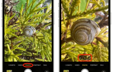 掌握苹果iPhone13的微距模式摄影技巧