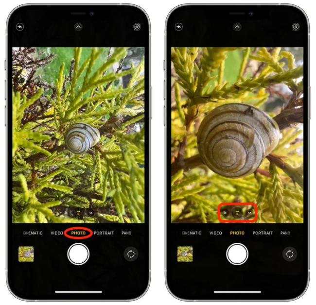 苹果iPhone13如何使用微距模式拍摄