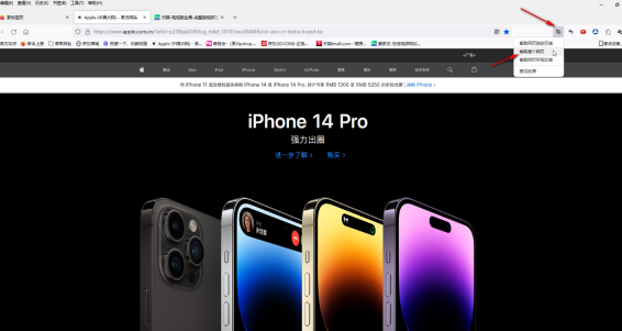 How to take screenshots in Firefox browser