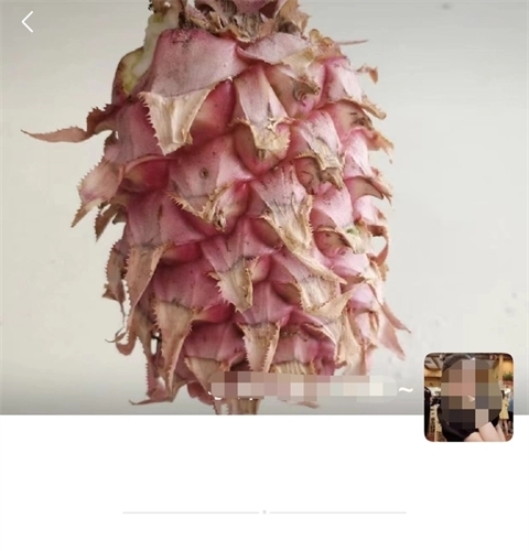 微信拉黑后对方发信息显示什么提示语 如何查微信是否被拉黑名单