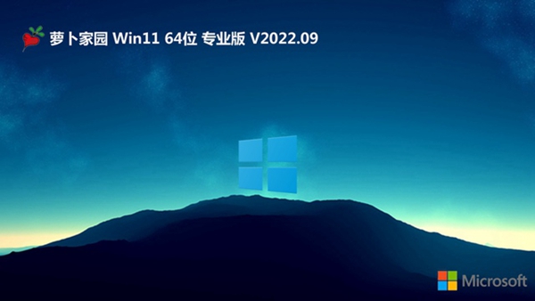 2024 年に最高のスムーズなパフォーマンスを備えた Win11 バージョンのランキング