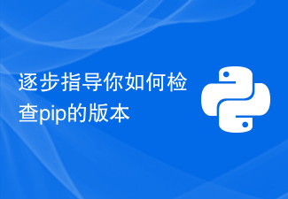 pip 버전 확인 방법에 대한 단계별 가이드