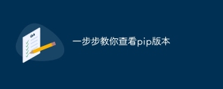 一步步教你查看pip版本
