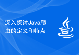 深入探讨Java爬虫的定义和特点