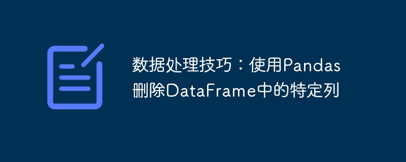 数据处理技巧：使用Pandas删除DataFrame中的特定列