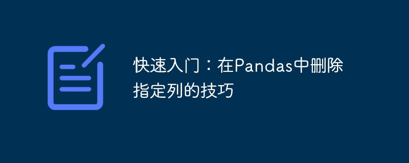 快速入门：在Pandas中删除指定列的技巧