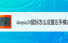 鼠标怎么设置为左手? deepin20左手鼠标设置方法