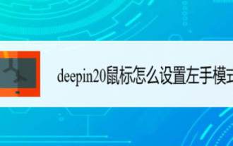 How to set the mouse to be left-handed? How to set the left-handed mouse in deepin20