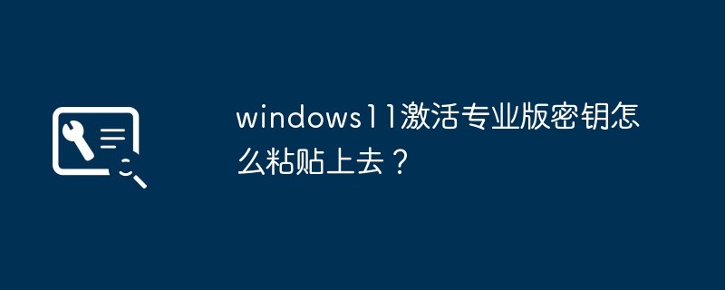 windows11激活专业版密钥怎么粘贴上去？