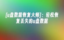 [u盘数据恢复大师]：轻松恢复丢失的u盘数据