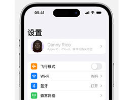 Was soll ich tun, wenn die Apple-ID in den iPhone-Einstellungen ausgegraut ist und nicht verwendet werden kann?