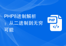 PHP8进制解析：从二进制到无穷可能