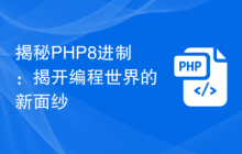 揭秘PHP8进制:揭开编程世界的新面纱