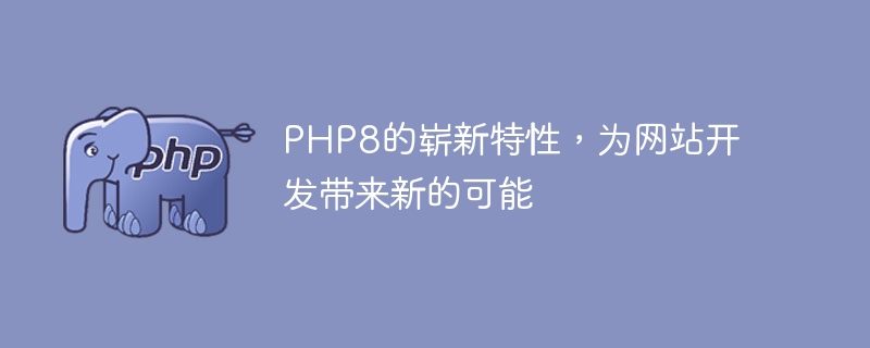 PHP8的崭新特性，为网站开发带来新的可能