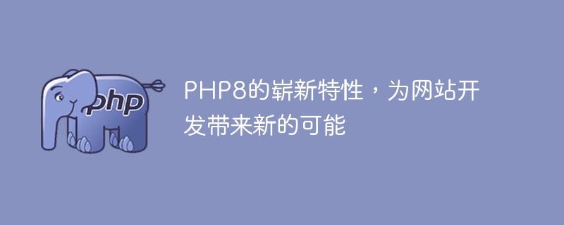 php8的崭新特性，为网站开发带来新的可能
