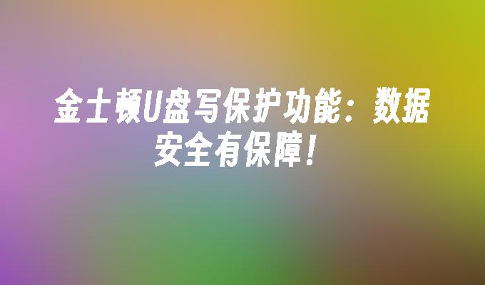 金士顿U盘写保护功能：数据安全有保障！