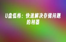 急速解决存储问题：高效利用U盘的解决方案
