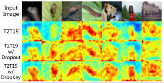 CVPR 2023|两行代码高效缓解视觉Transformer过拟合,美图&国科大联合提出正则化方法DropKey