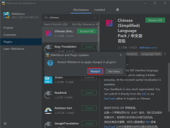 《webstorm》破解教程