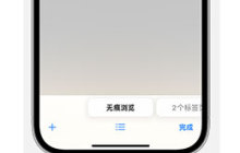 面容 ID 解锁确保 iOS 17 无痕浏览的隐私保护功能