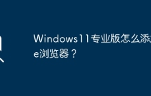 如何在Windows 11专业版中安装IE浏览器？