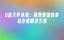高效便利的移动存储解决方案：U盘文件系统
