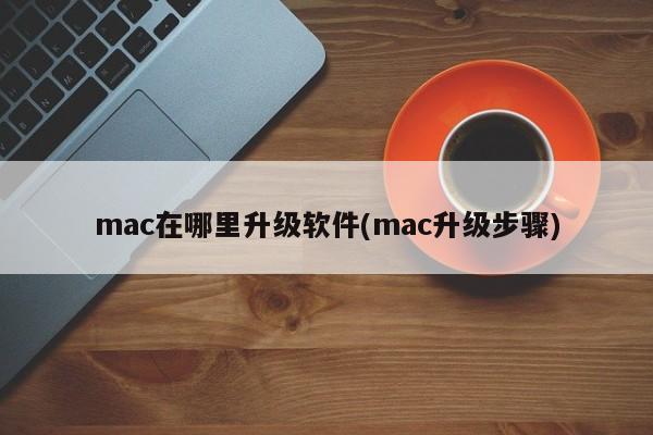 mac在哪里升级软件(mac升级步骤)