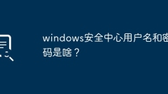 Windows 보안 센터의 사용자 이름과 비밀번호를 설정하는 방법은 무엇입니까?