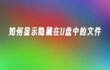 U盘中的隐藏文件如何显示出来？