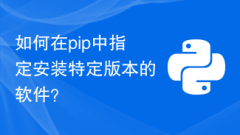 How to specify to install a specific version of software in pip?