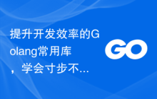 提升开发效率的Golang常用库，学会寸步不离