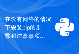 Steps and precautions for installing pip without network