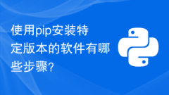 What are the steps to install a specific version of software using pip?