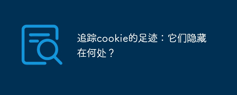 追踪cookie的足迹：它们隐藏在何处？