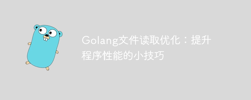 golang文件读取优化：提升程序性能的小技巧