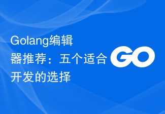 Empfehlungen des Golang-Editors: Fünf für die Entwicklung geeignete Optionen
