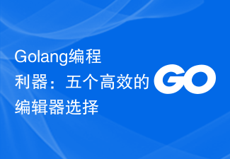 Outil de programmation Golang : cinq choix d'éditeurs efficaces