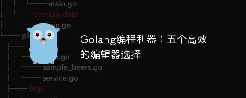 golang编程利器：五个高效的编辑器选择