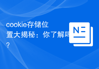 cookie存储位置大揭秘:你了解吗?