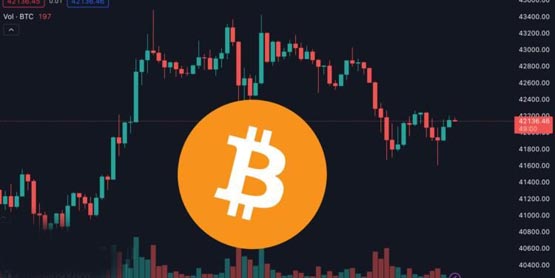 AVAX, POLS 및 ICP는 추세에 비해 상승한 반면 BTC 및 ETH의 상승은 정체되었습니다.