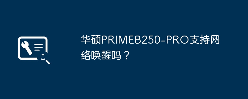 华硕primeb250-pro支持网络唤醒吗？