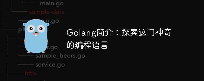 Golang簡介：探索這門神奇的程式語言