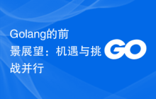 Golang的前景展望：机遇与挑战并行