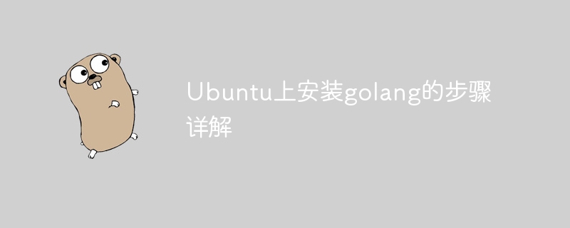 ubuntu上安装golang的步骤详解
