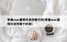 最佳苹果Mac照片查看软件推荐 (推荐苹果Mac照片查看软件)