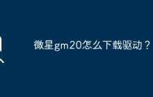 如何下载微星GM20的驱动程序？